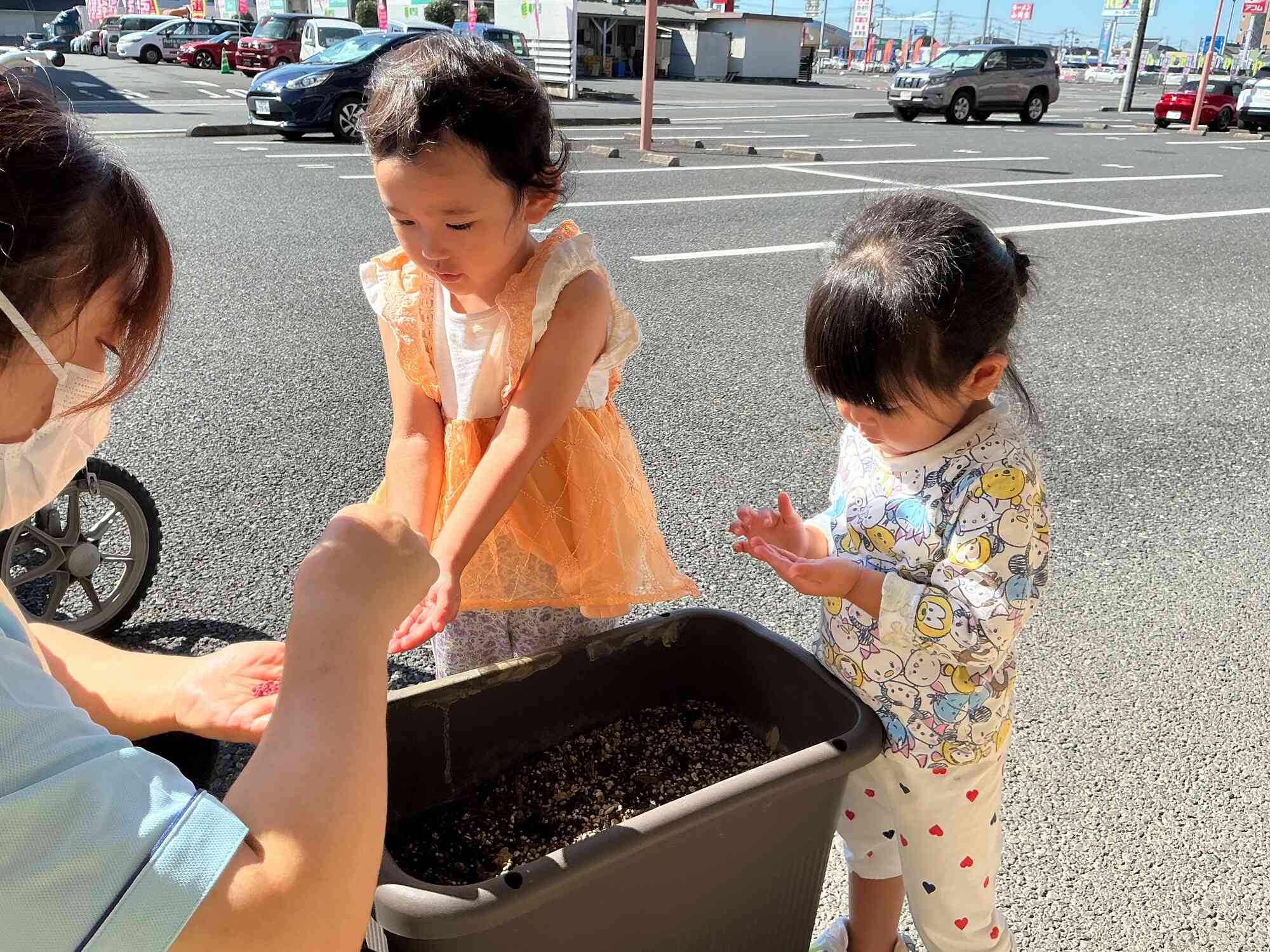 大きなだいこんが育ちますように！