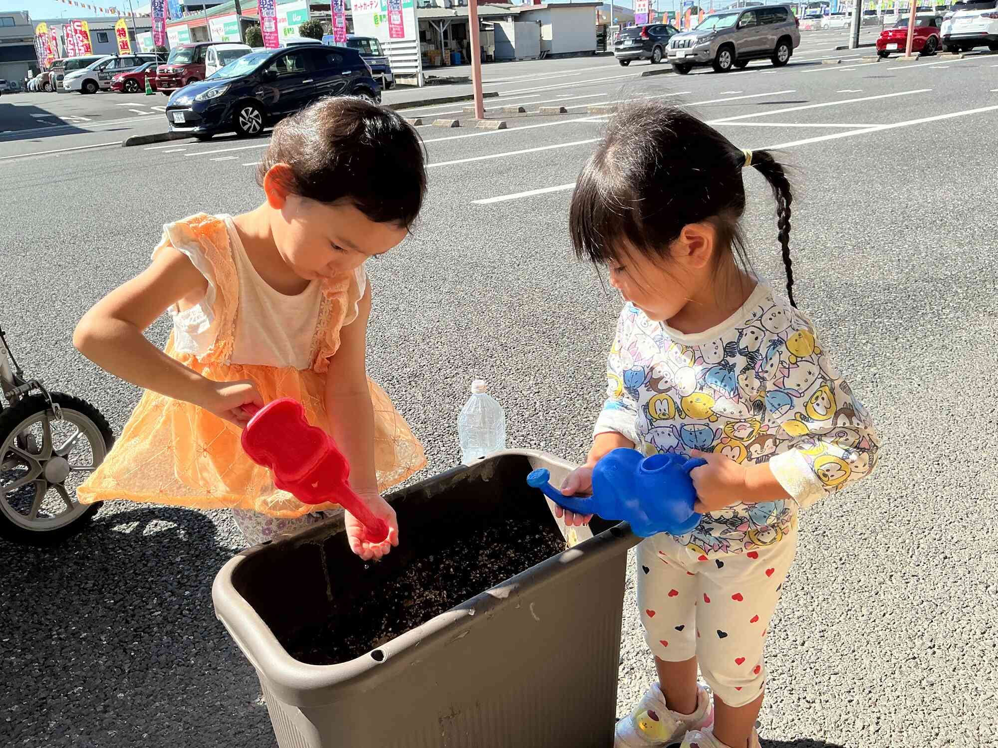 だいこんの種まきをしました！