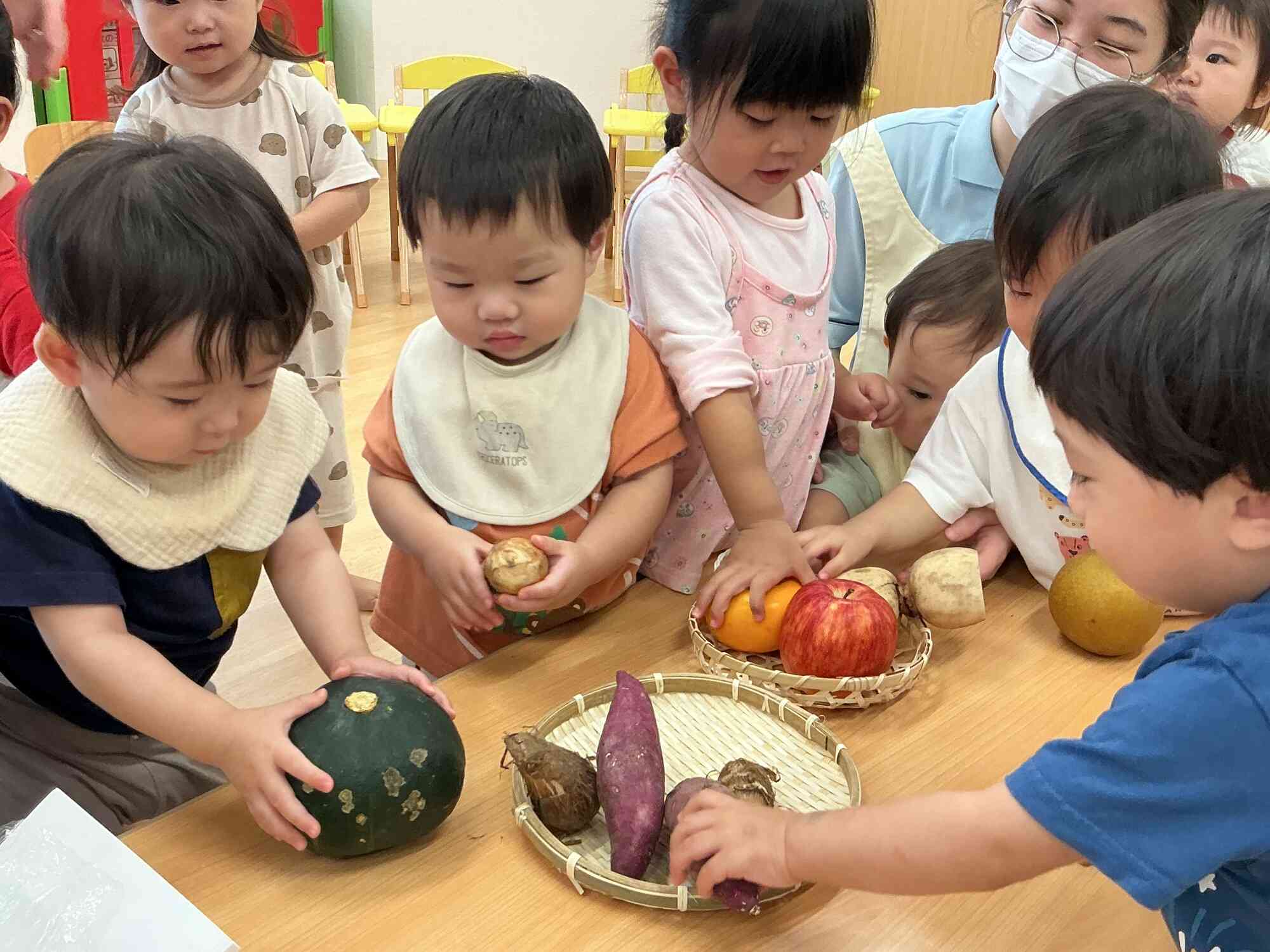 野菜や果物に触れてみました!