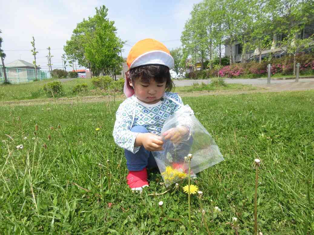 お家に持って帰ろう♪