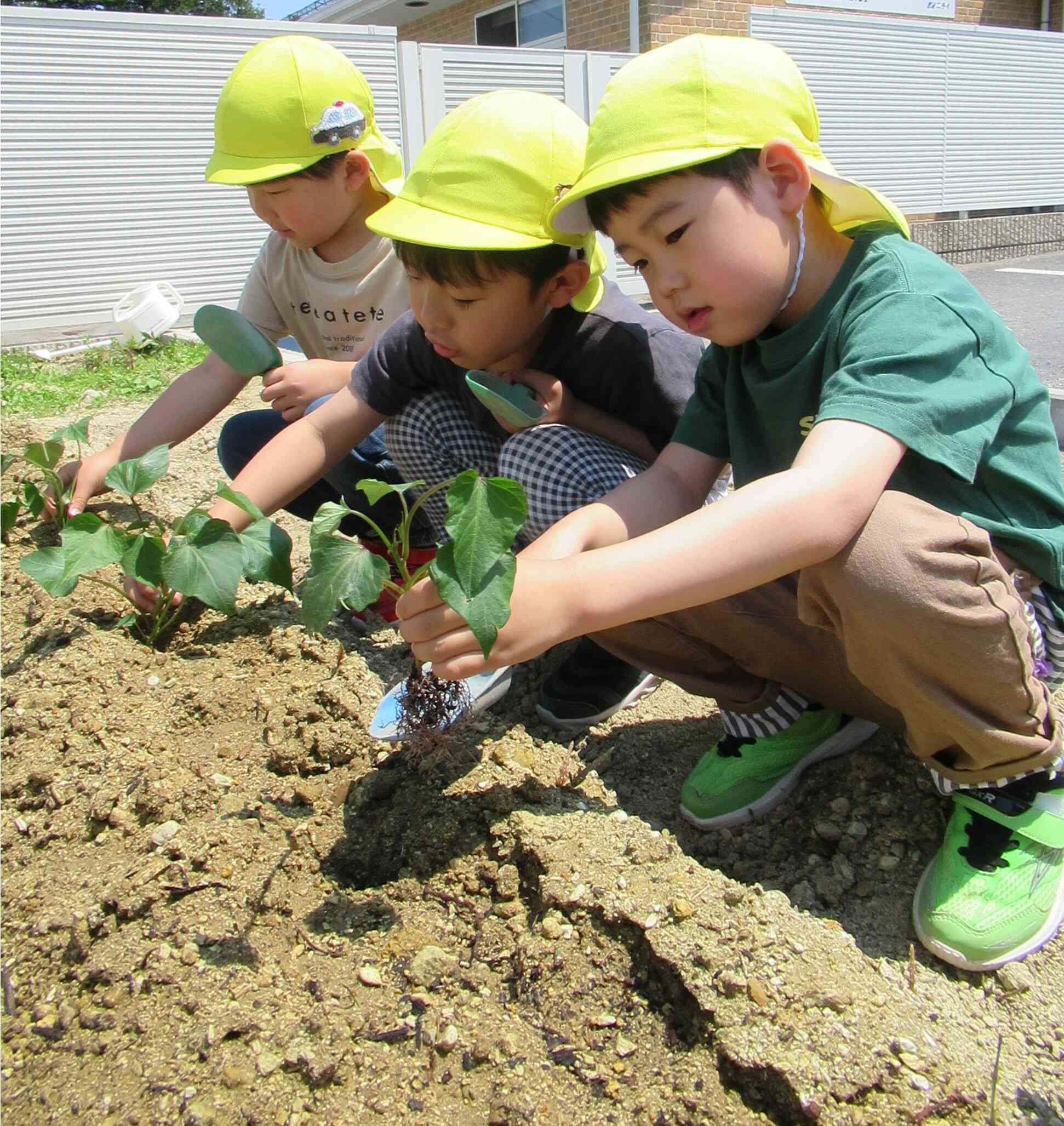 成長が楽しみだね♪