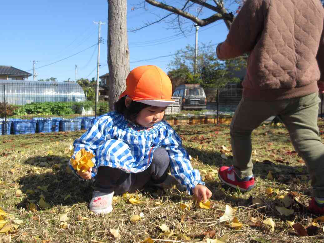 秋のお散歩に行こう！