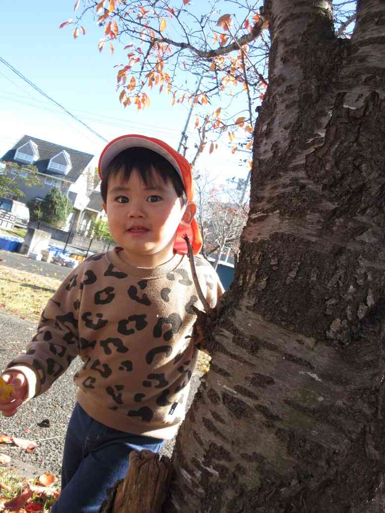 秋のお散歩楽しいな！