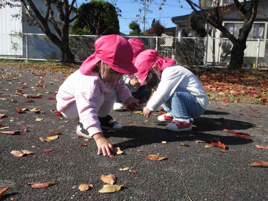 みんなで落ち葉集め♪