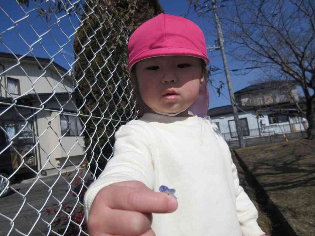 春を探しに行こう♪【1歳児あひる組・２歳児うさぎ組】