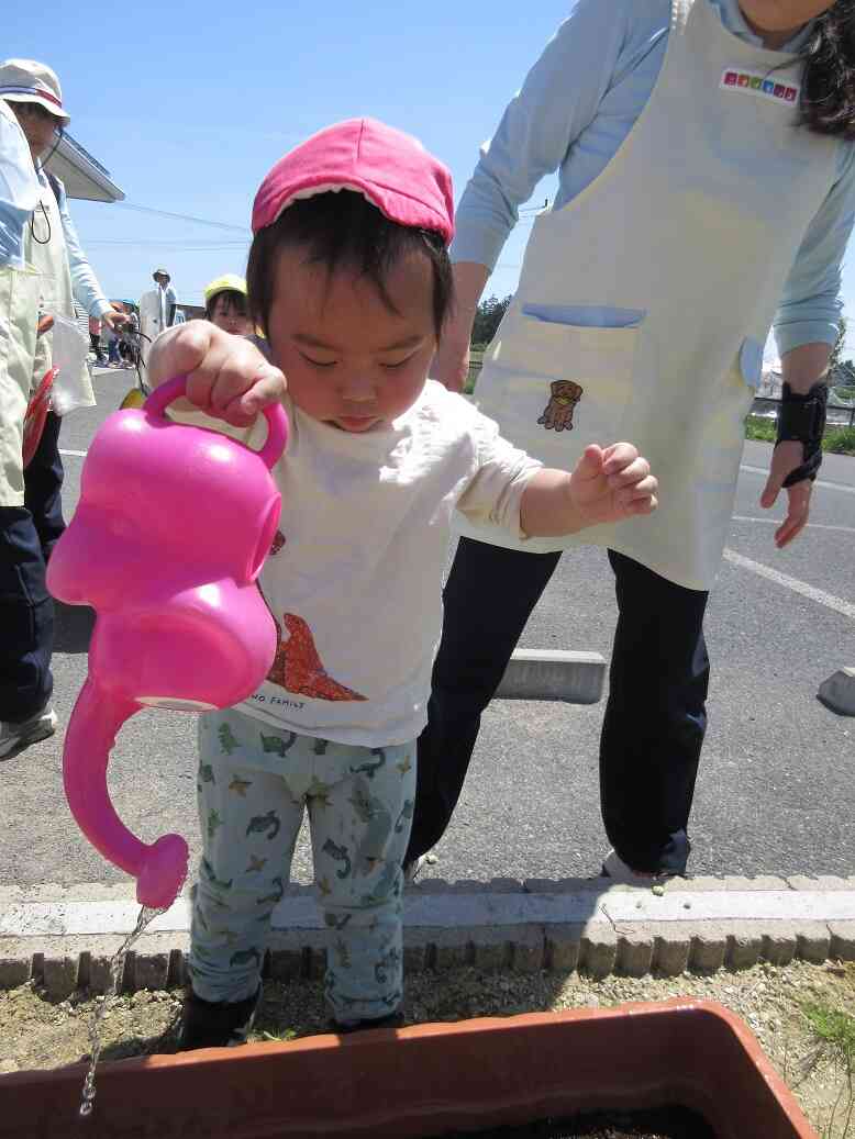 芽が出て来たよ！