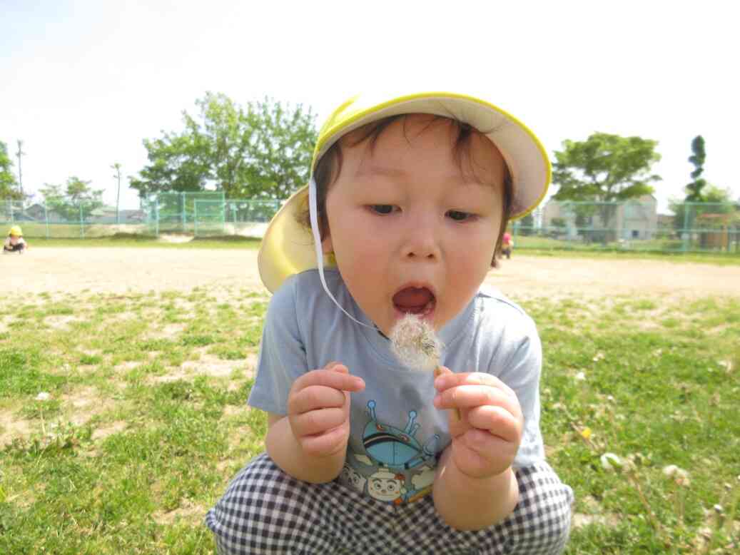 見つけたよ♪