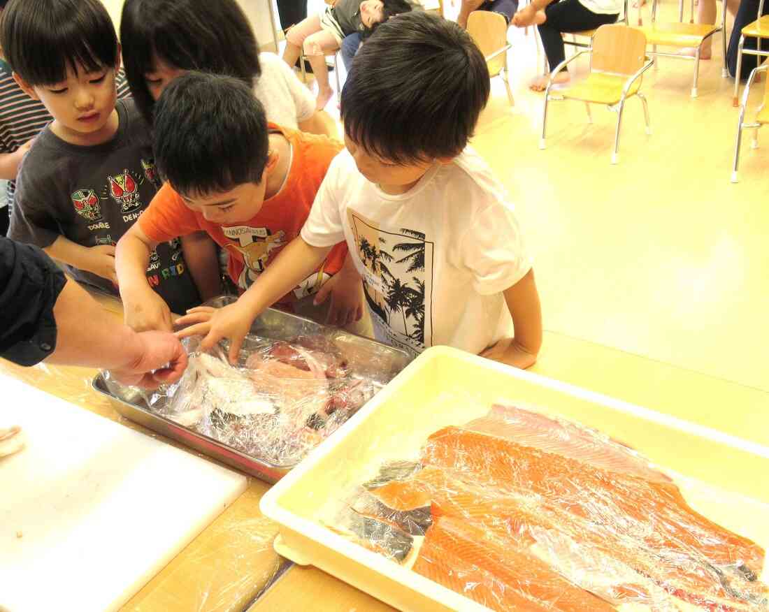見て、触れて、発見！