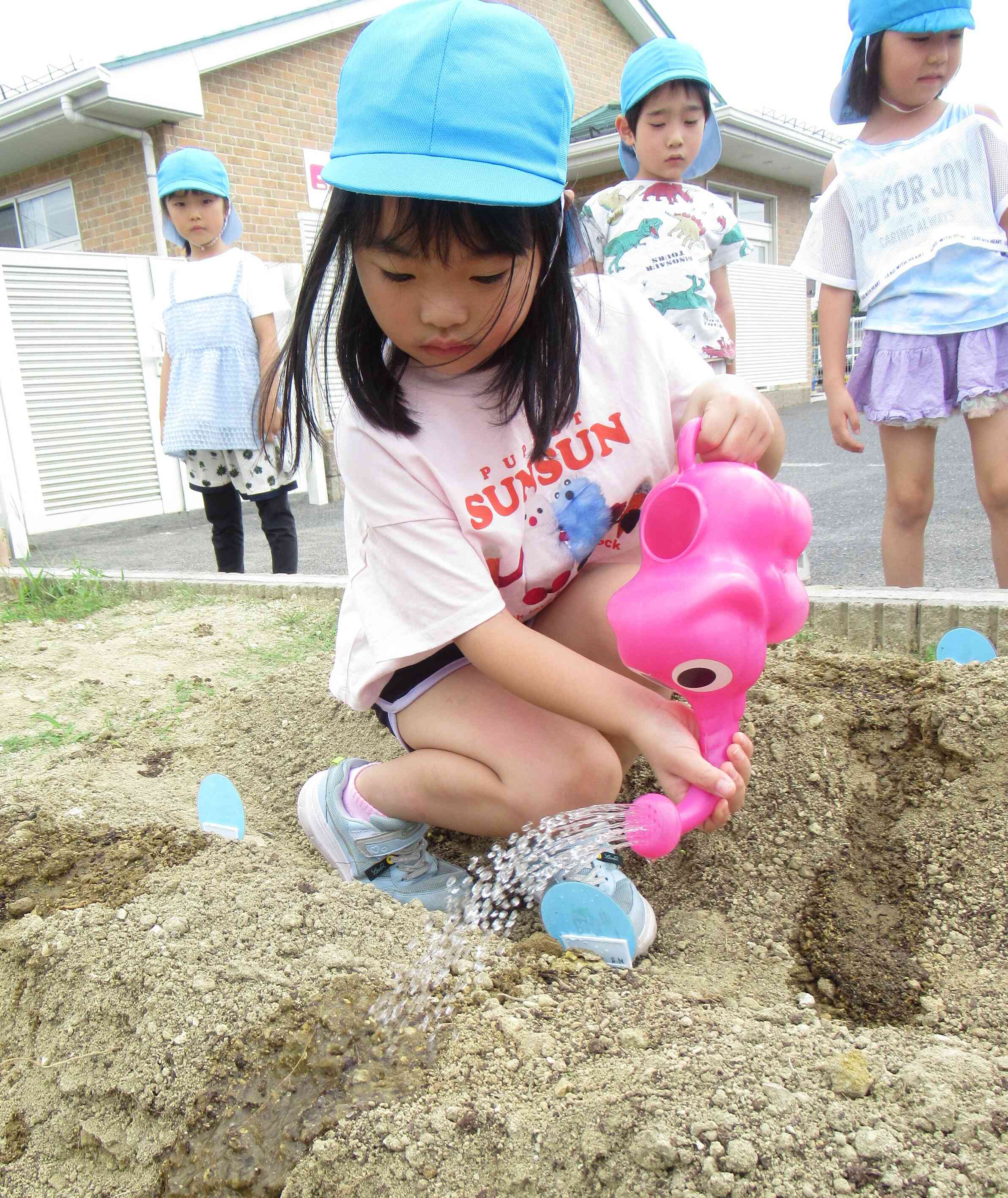 大きくなあれ！お水をあげよう