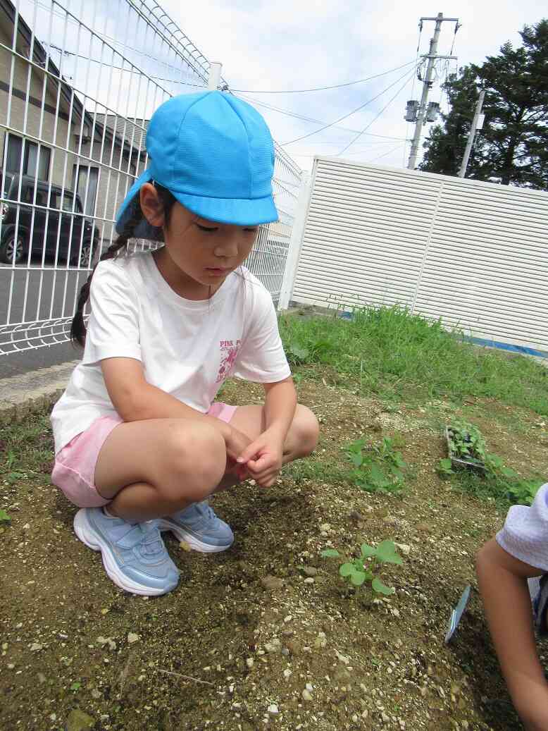 はやく食べたいな・・・