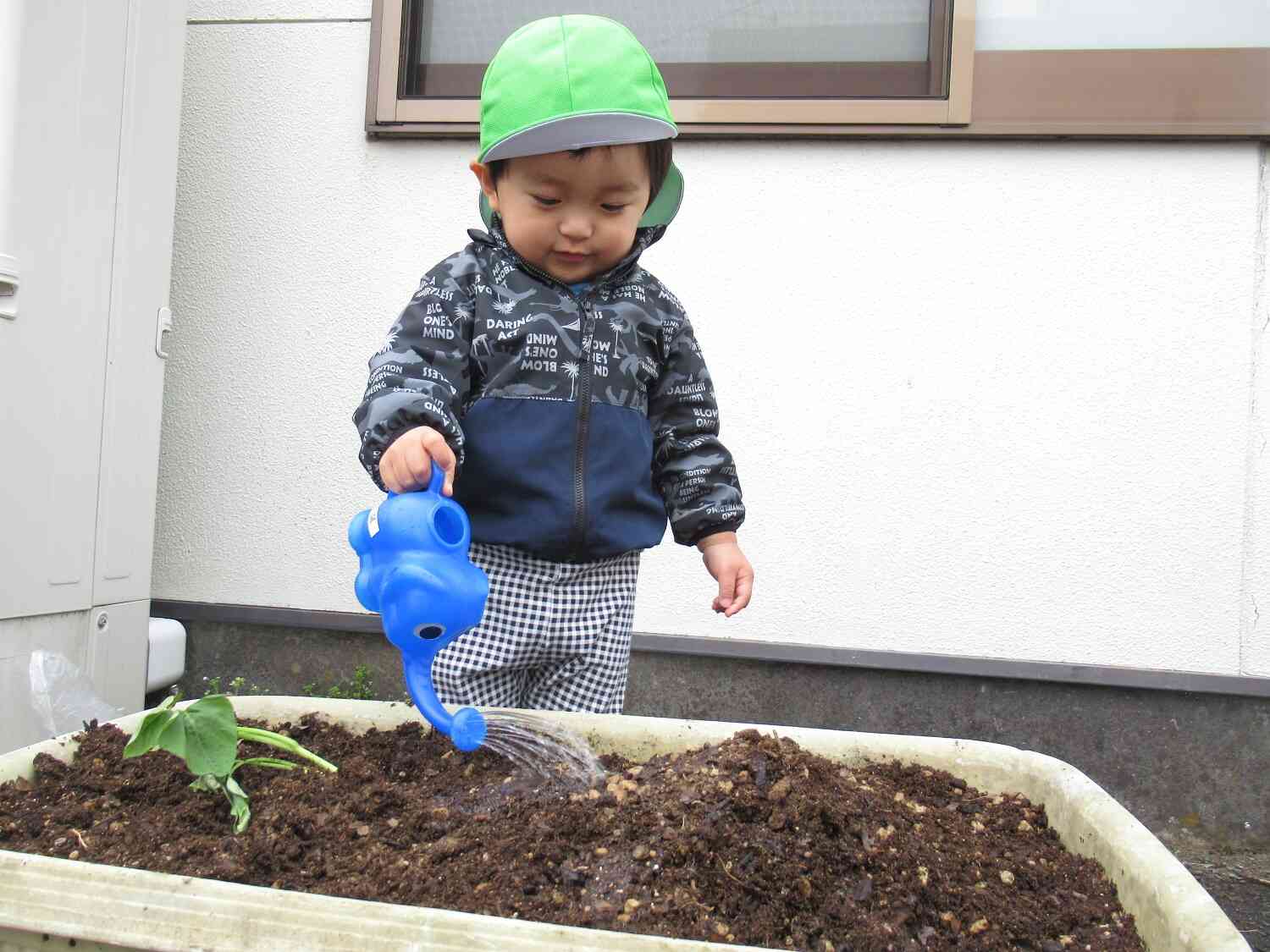 「おおきくなぁれ！」