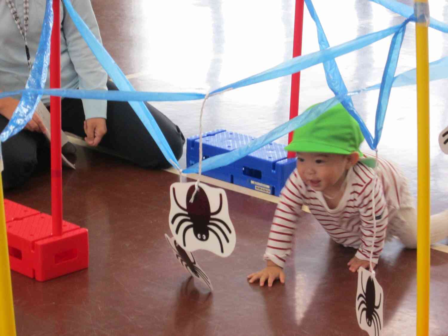 忍法、蜘蛛の巣くぐりの術！