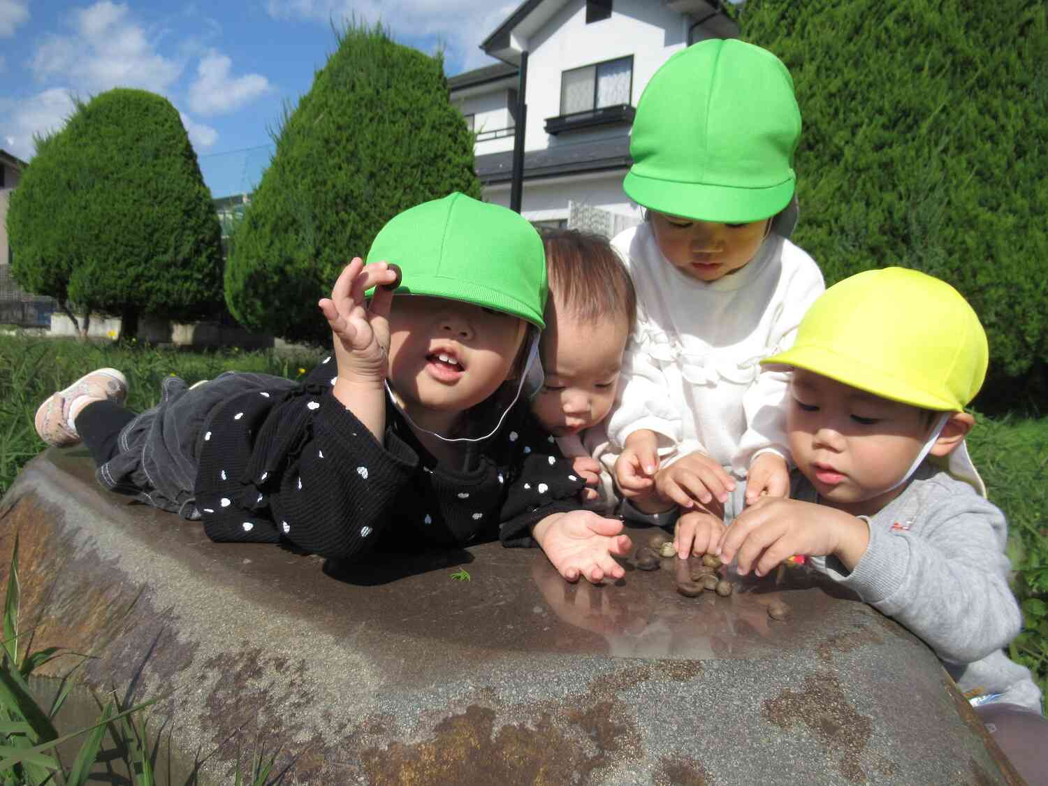 みんなで木の実拾い☆