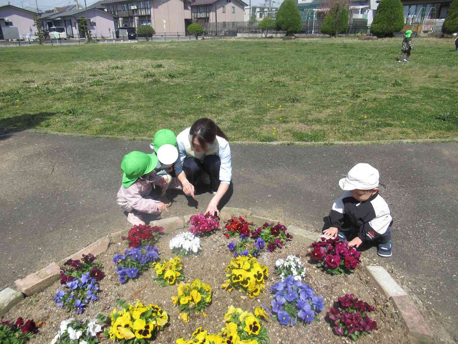 虫さんいるかな～？？