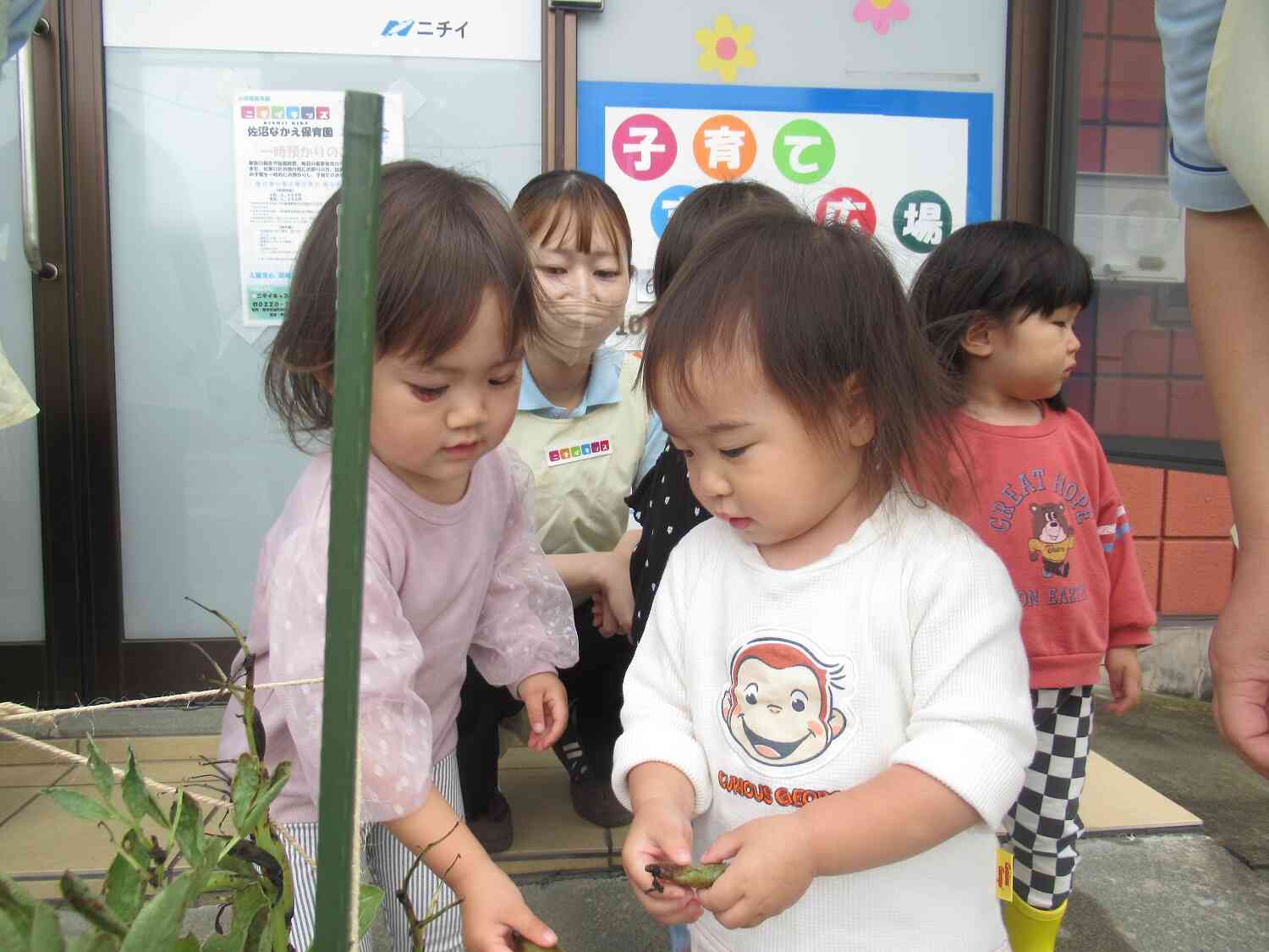 みんなで収穫！！