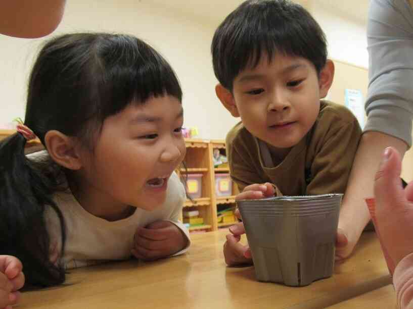 ついに・・・!