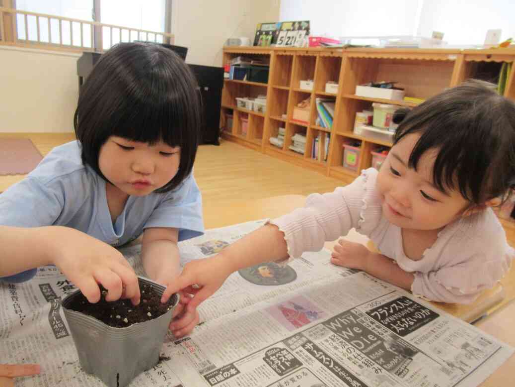 土や種を観察したり、触ってみたり・・・