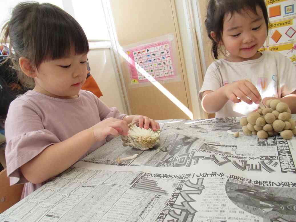 きのこさきをしました♬(食育活動)