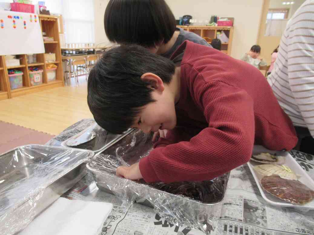 お魚に興味津々！