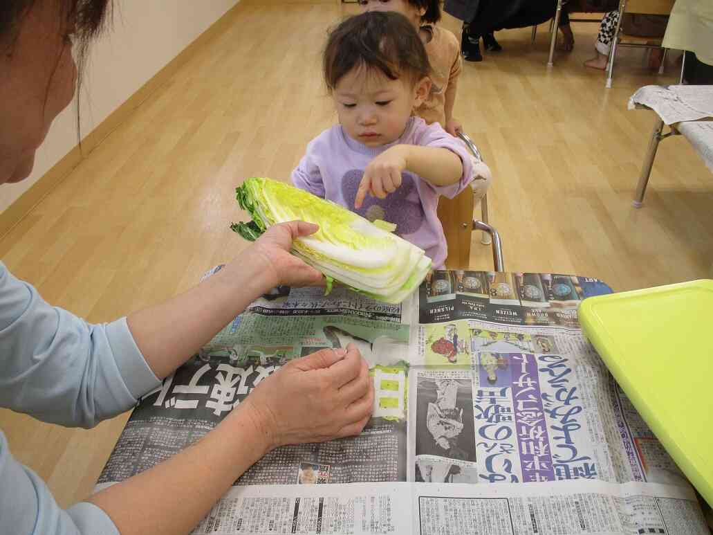 食育で白菜・キャベツちぎりを楽しみました！（乳児）