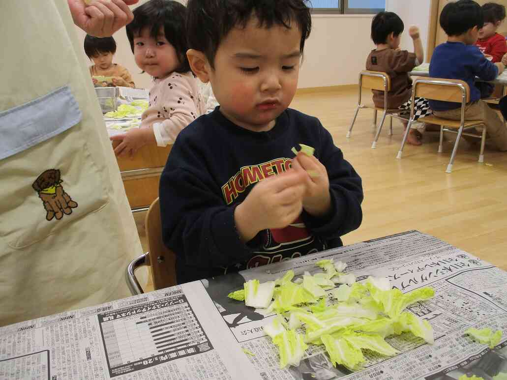 キャベツを小さくちぎってみたよ！