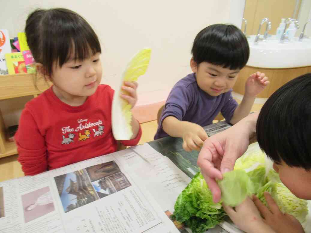 白菜とキャベツの匂いを嗅ぐと。。。