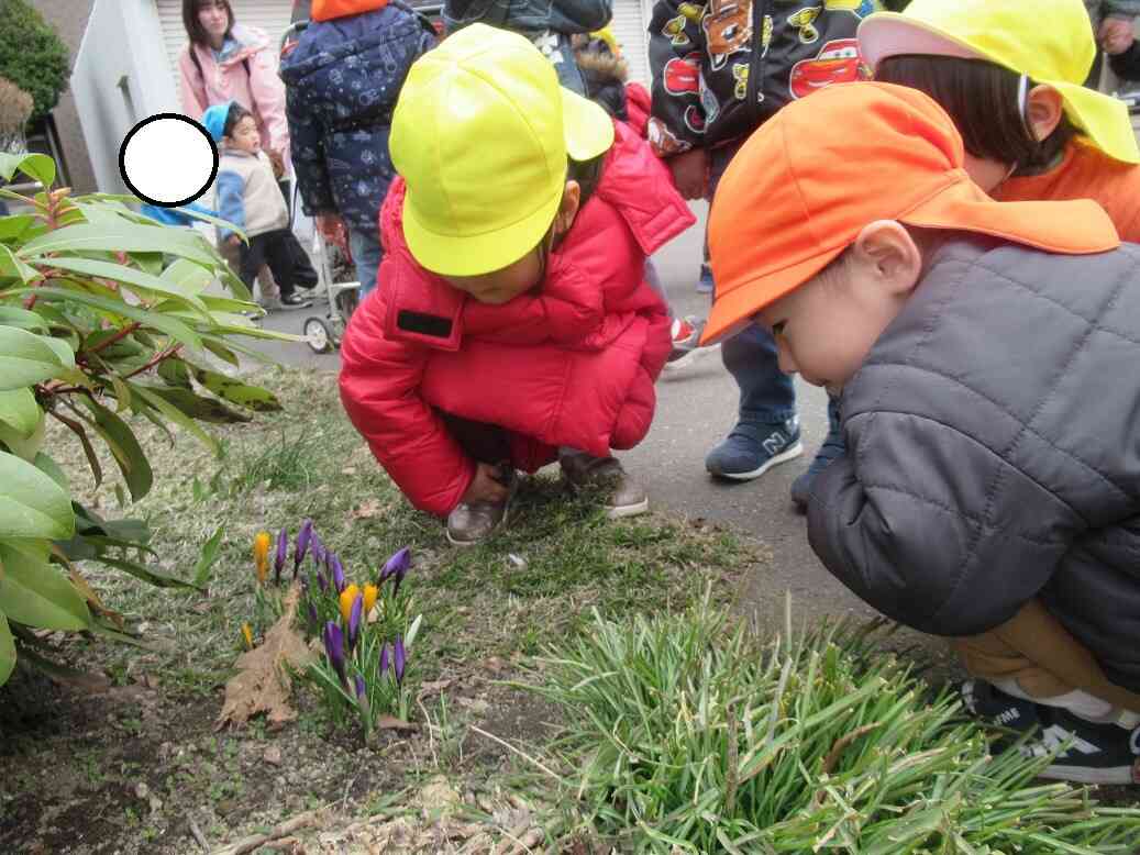 お花も見つけたよ！