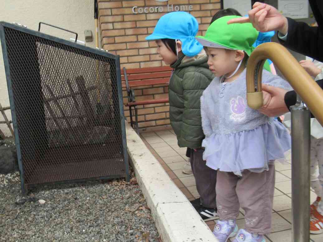 お散歩楽しいよ♪