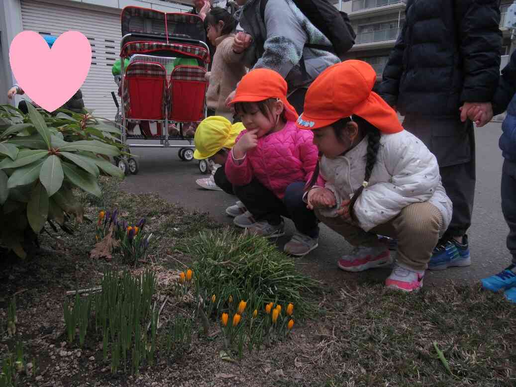 ルンルンお散歩