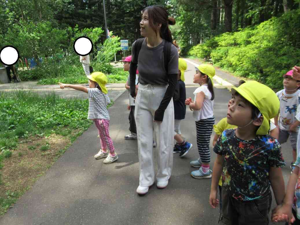 フクロウ探しをしました！