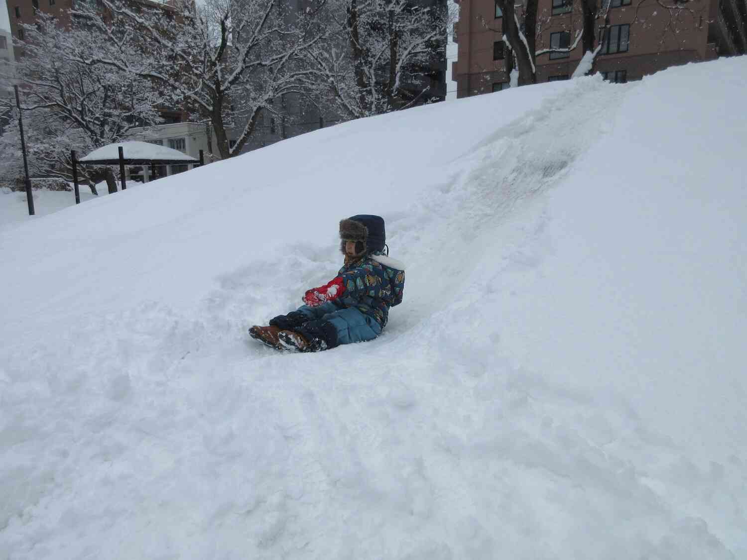 また雪が積もりました。
