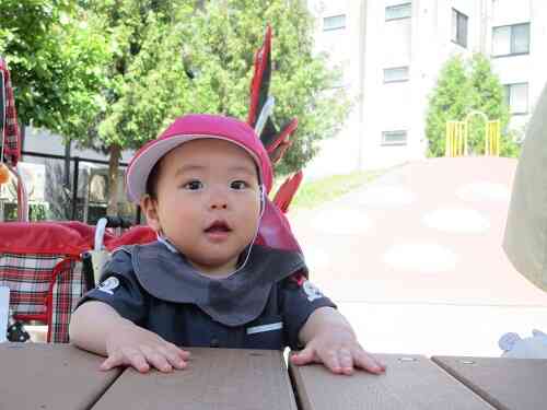 6月に入り初夏を感じる季節に！お散歩も気持ちいいです