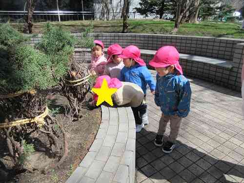 みんなでなにをみているのかな？