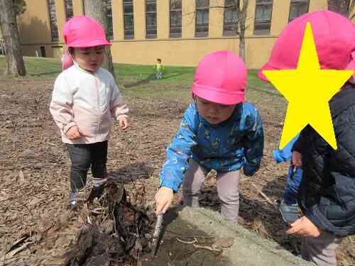 雪もとけお散歩がきもちいい季節になりました！