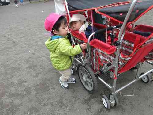 新しいお友達がふえました！