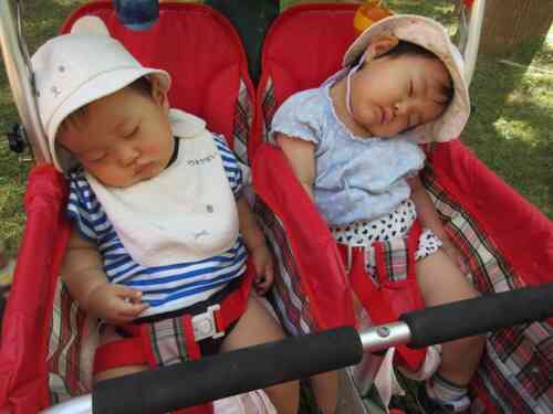 お外でスヤスヤ..zzz