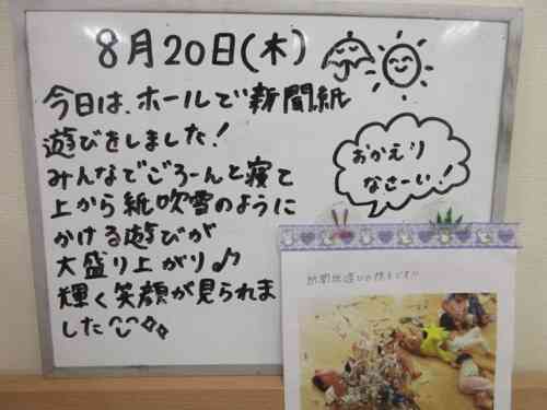 園の取り組み⭐︎