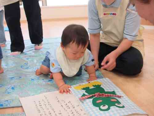 カエルの寝かし付け担当