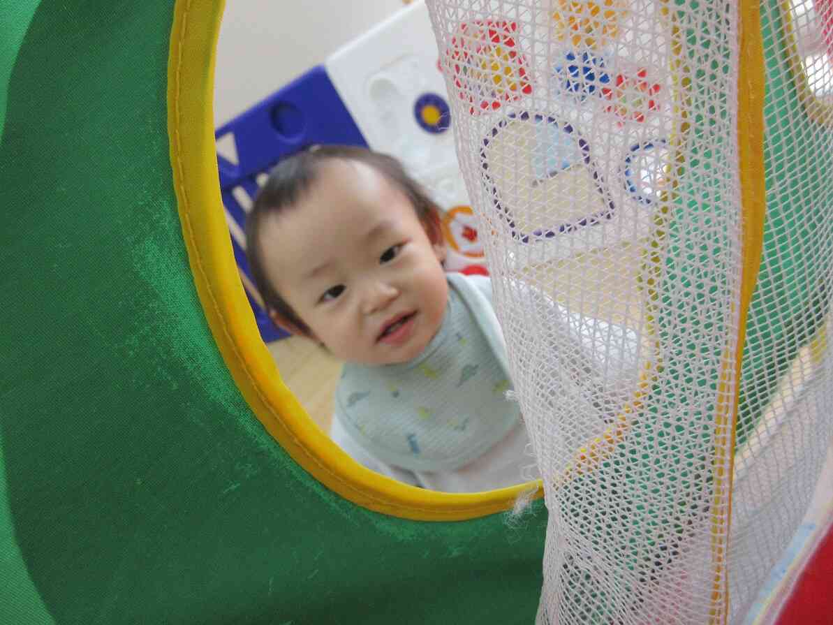 窓からお友だちと先生が見えたぞ(*´▽｀*)