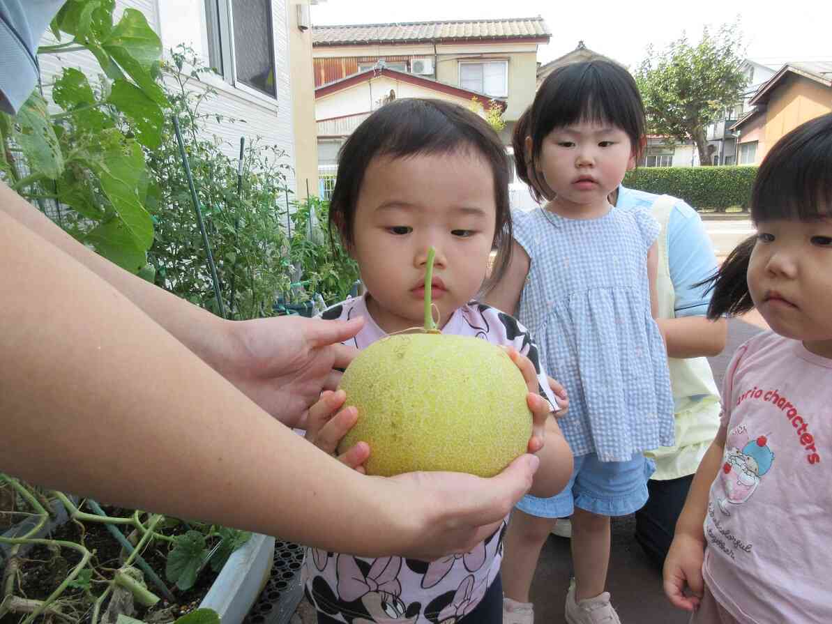 私のお顔よりも大きいわ！