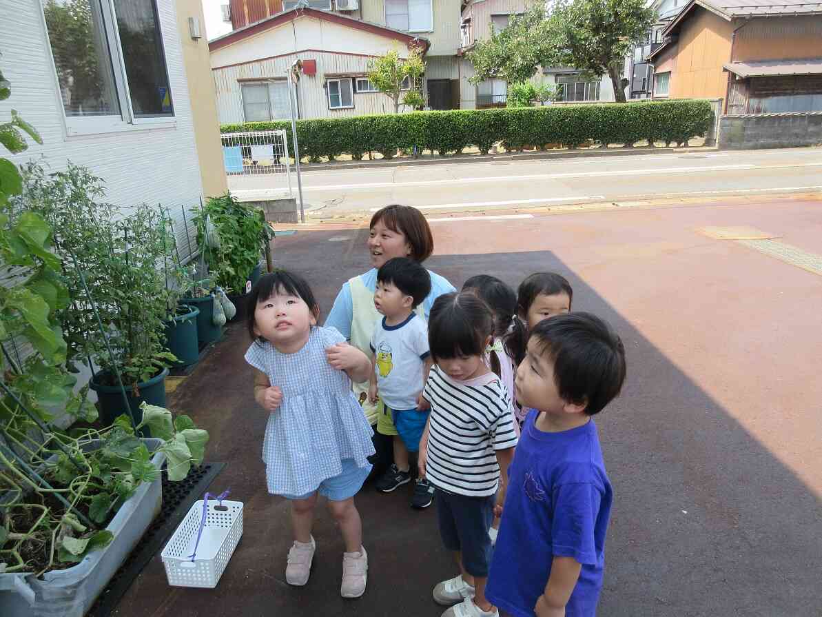 うわぁ！ビックリした！虫も見に来ていたのね！
