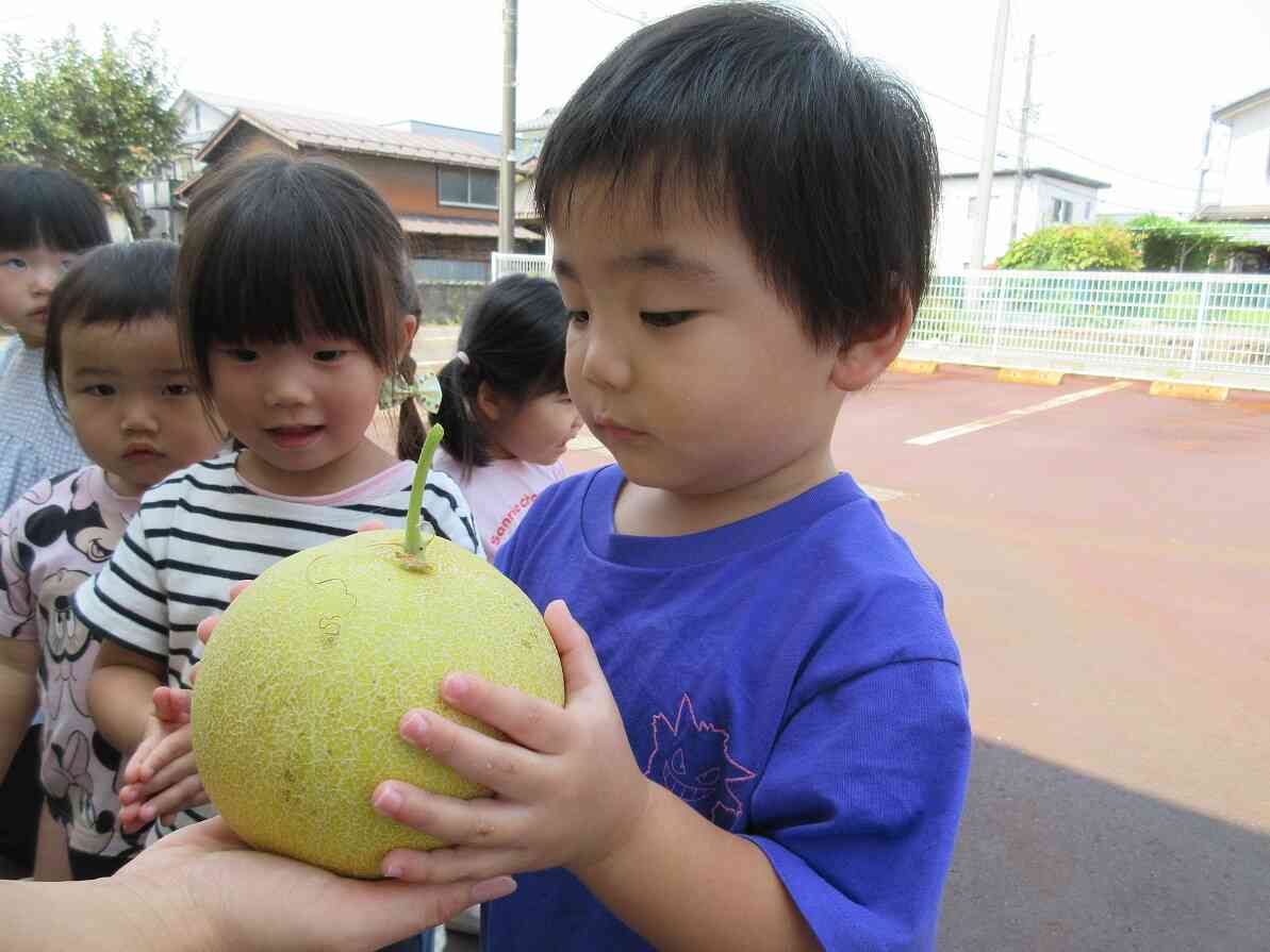 こんなに大きくて重いんだね！