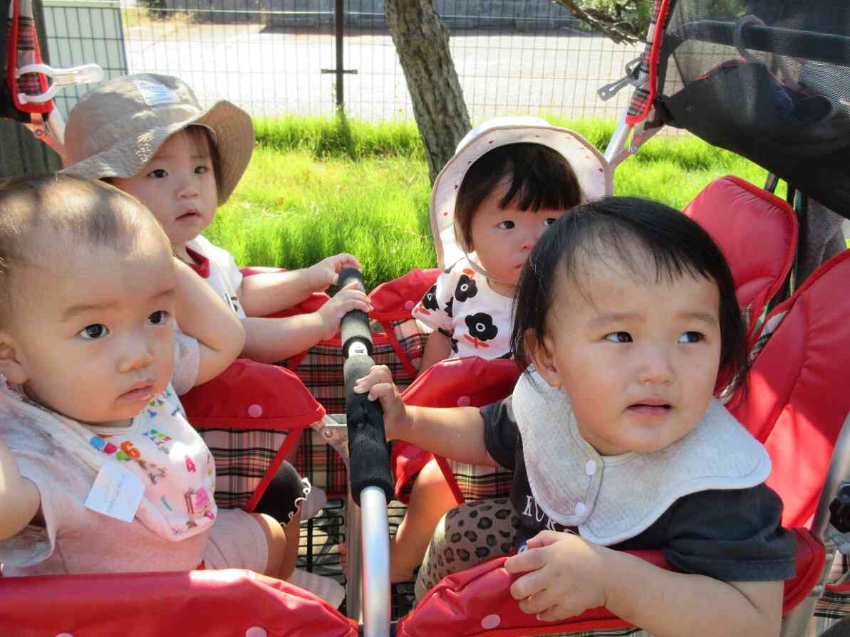 園周辺のお散歩♪(0歳児~ひよこ組~)