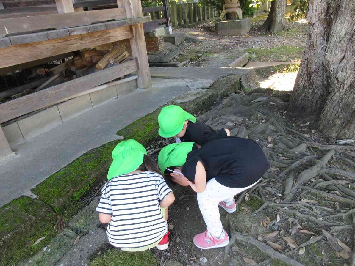 ここにも虫!あ、どんぐりも!ねぇ、穴空いてる!なんでー?と、楽しそうな声が聞こえていました。