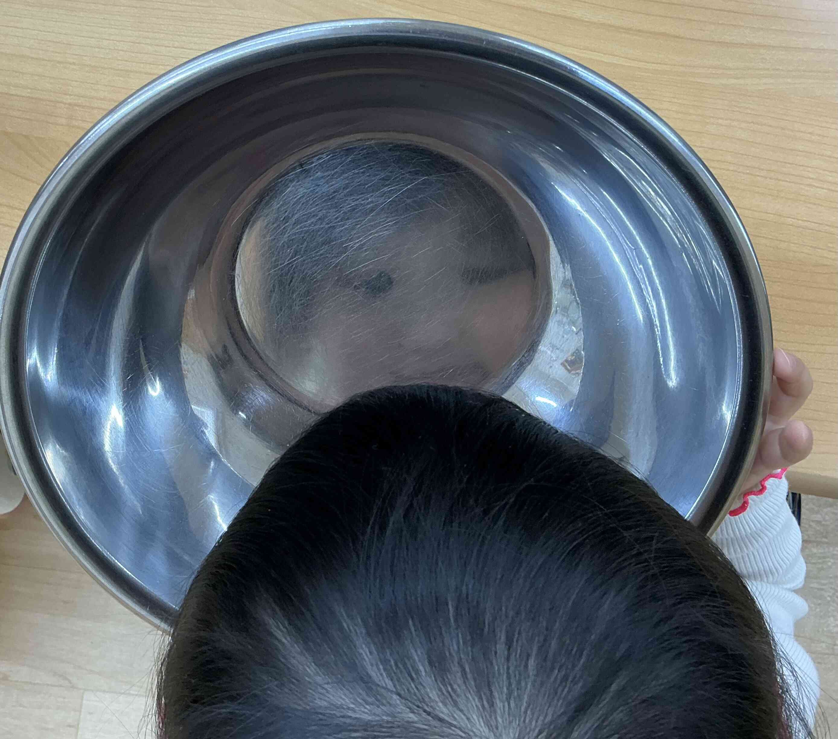何が見えたかな？