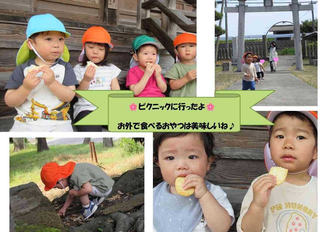 『ピクニックに行ったよ♪』