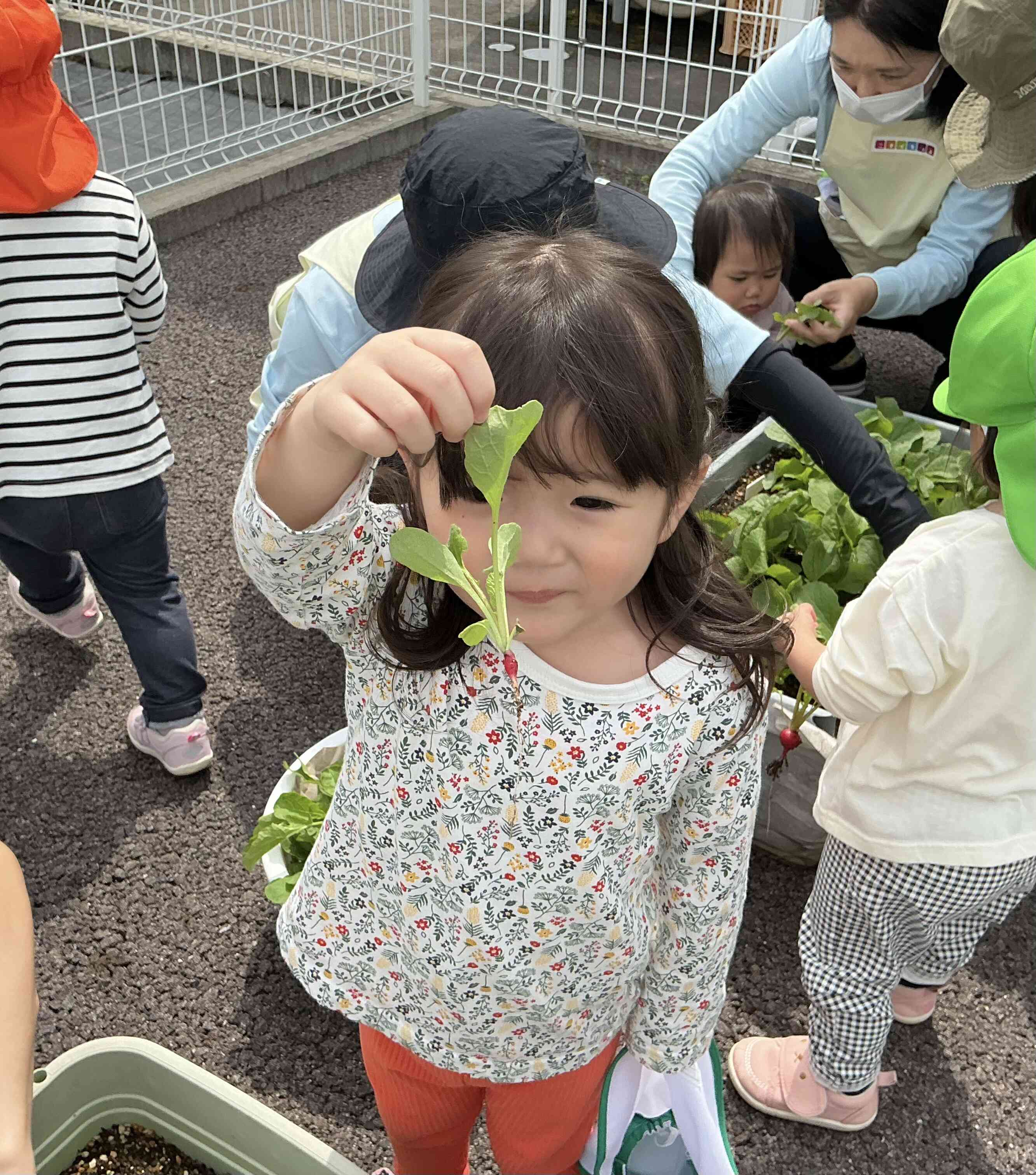 あ、これはちっちゃかったね！