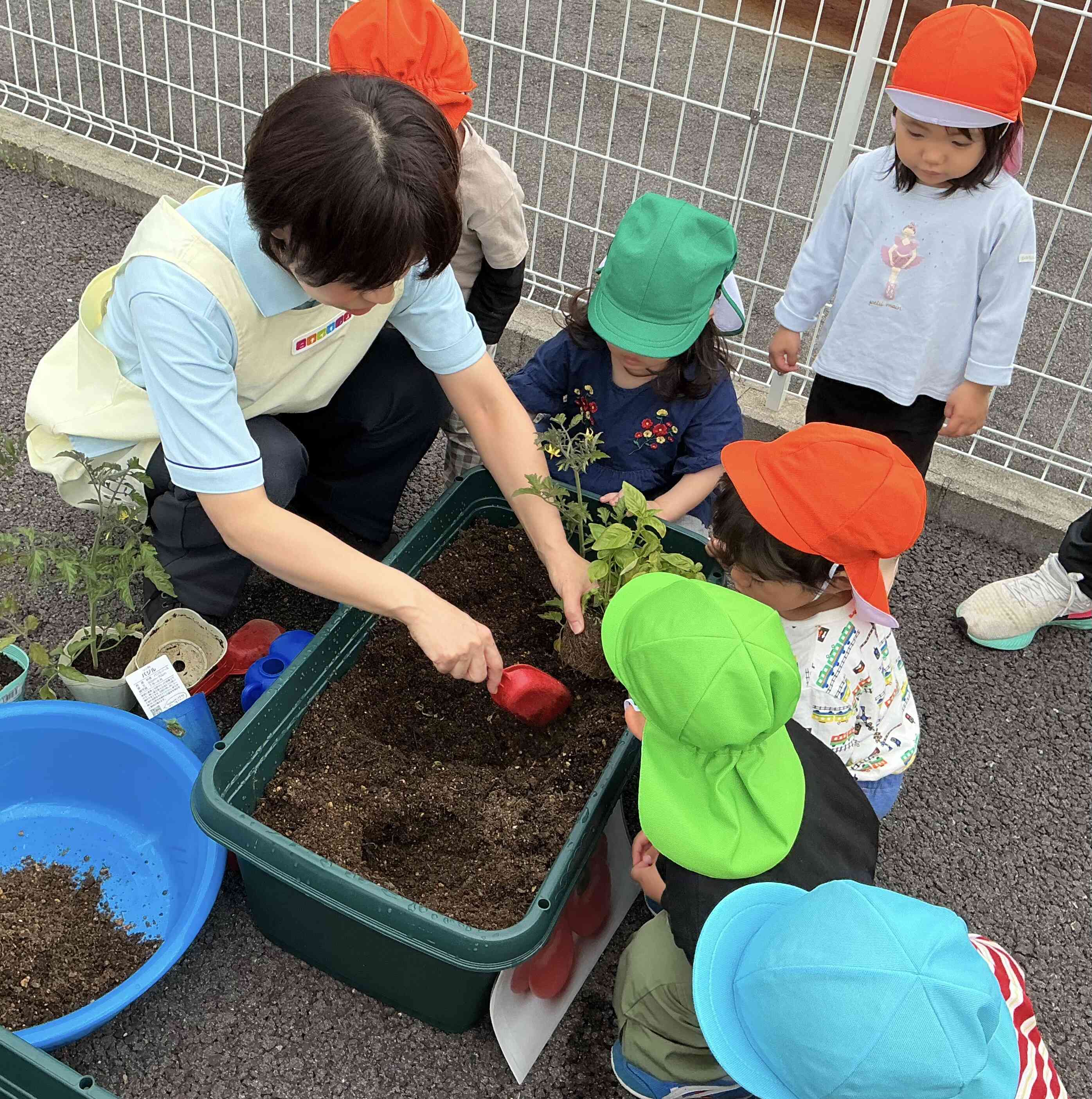 大きくなってね！