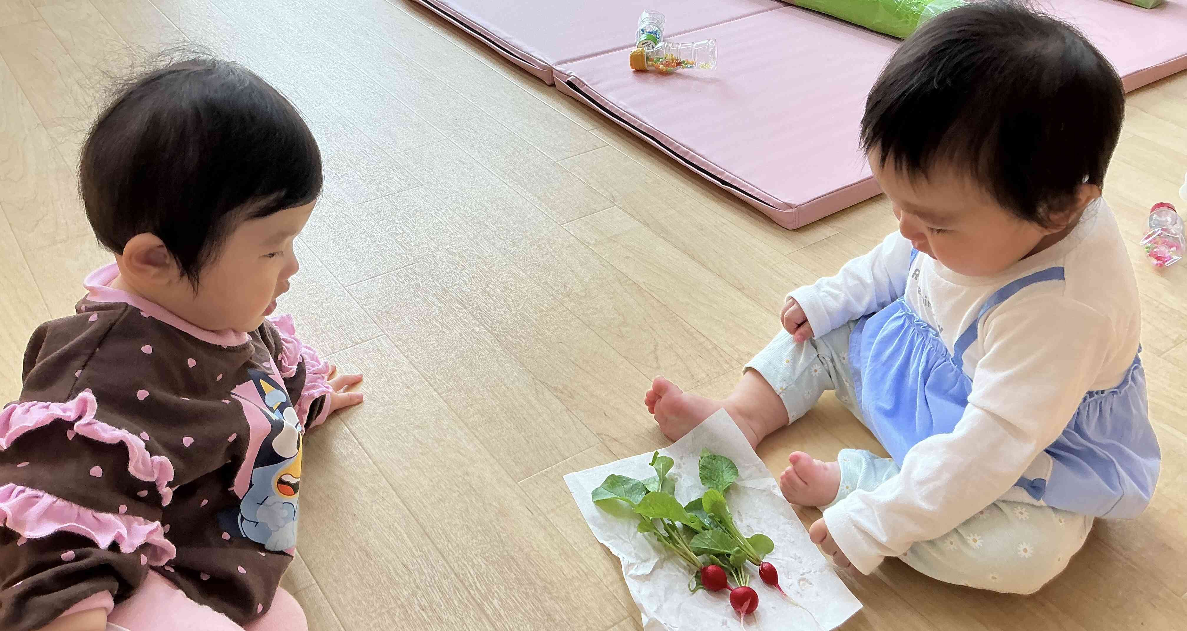 赤くてかわいい実だね！