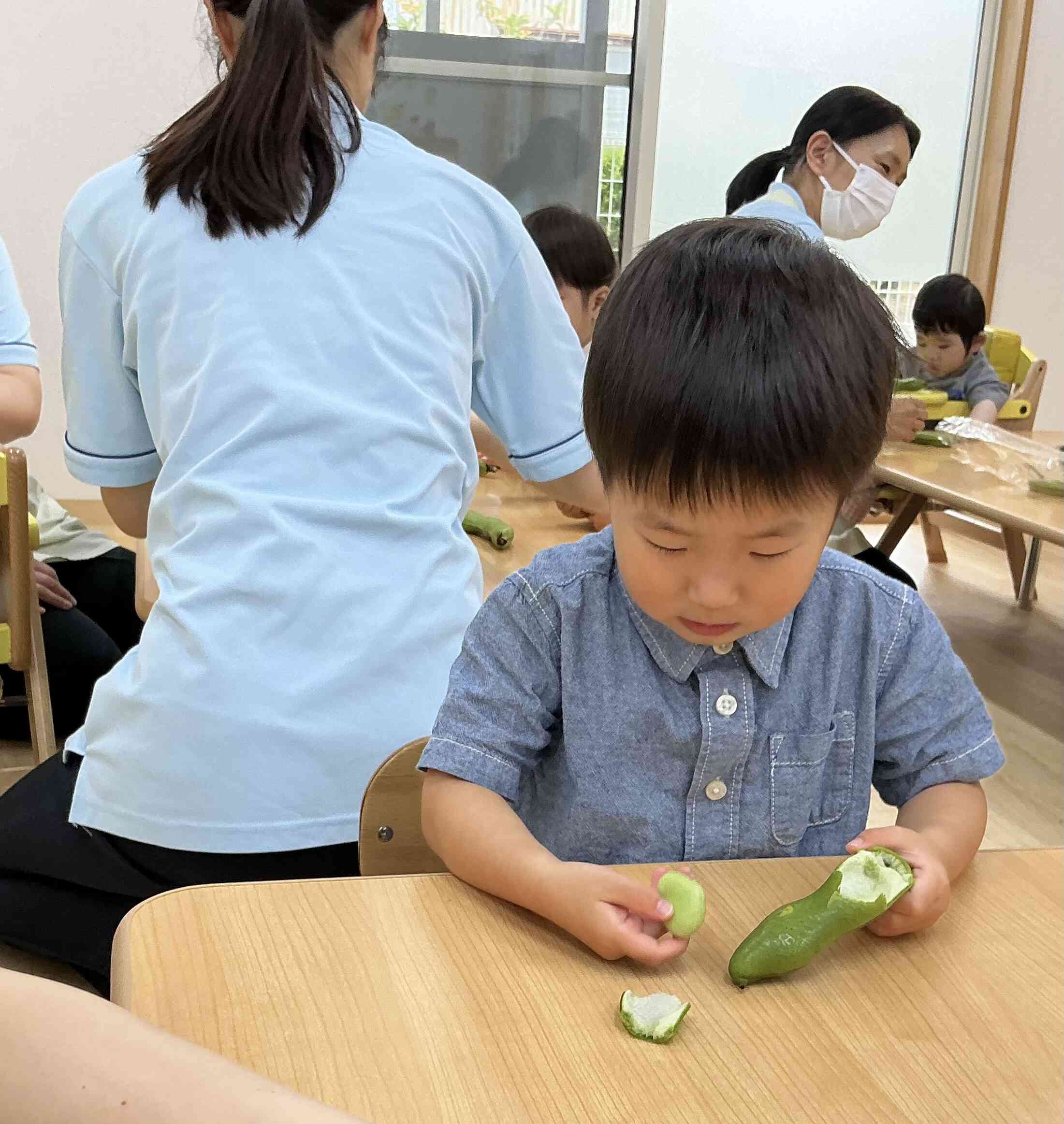 「おぉ！そら豆がでてきた！」